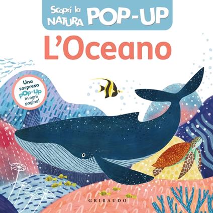 L'oceano. Scopri la natura pop-up. Ediz. a colori